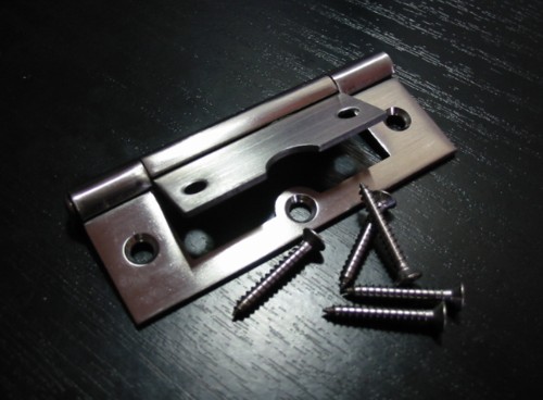 Stainless Steel Hinges 