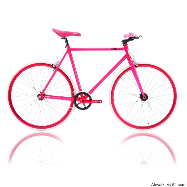 Fixed Gear Bicycle 3