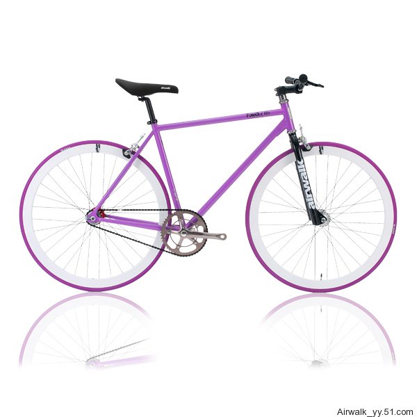 Fixed Gear Bicycle 5
